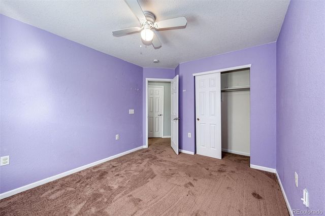 1482 Nemrick Place, Castle Rock, CO 80109