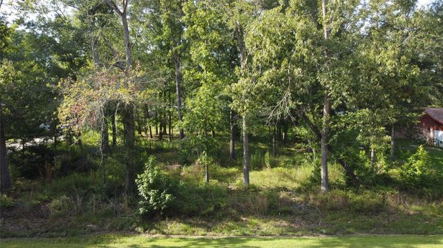 9 Sweetgum Drive, Woodbranch, TX 77357