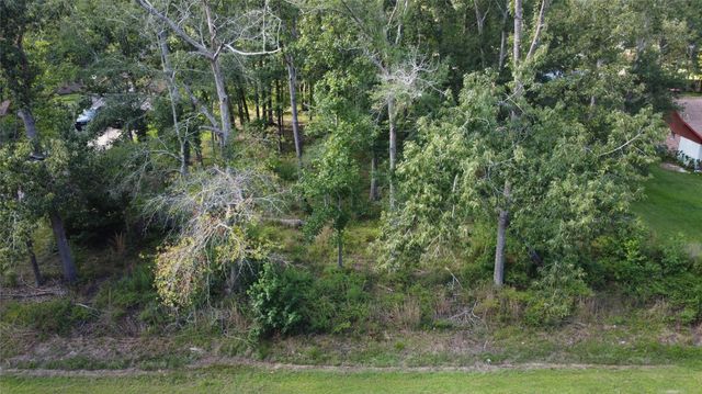 9 Sweetgum Drive, Woodbranch, TX 77357