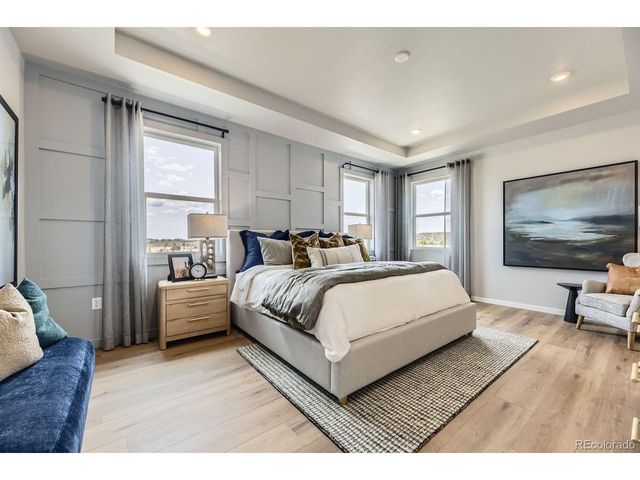 13757 Daffodil Pt, Parker, CO 80134