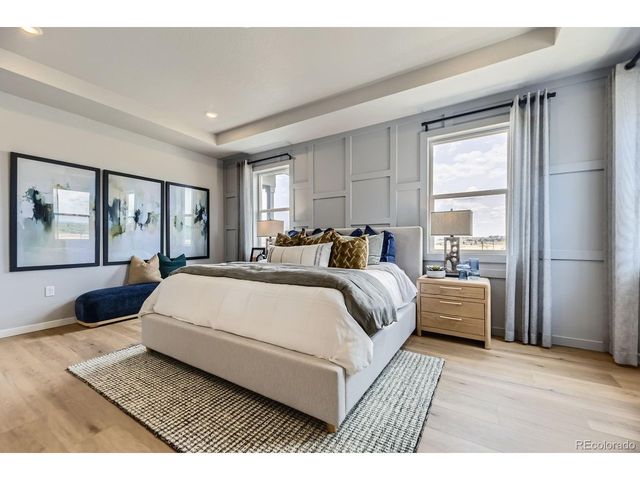 13757 Daffodil Pt, Parker, CO 80134
