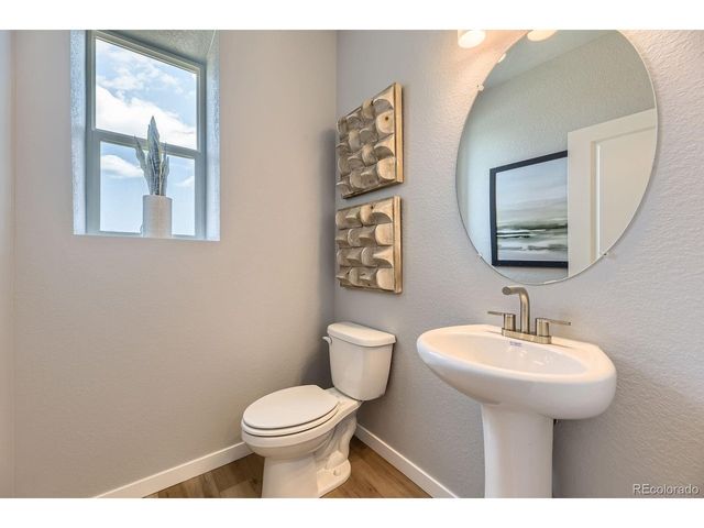 13757 Daffodil Pt, Parker, CO 80134