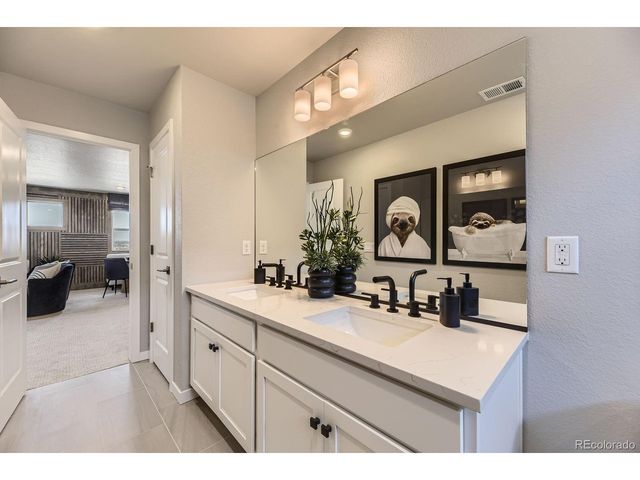 13757 Daffodil Pt, Parker, CO 80134