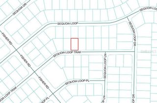 SEQUOIA LOOP TRACK, Ocklawaha, FL 32179