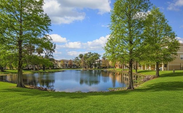 4407 TUSCAN LOON DRIVE, Tampa, FL 33619