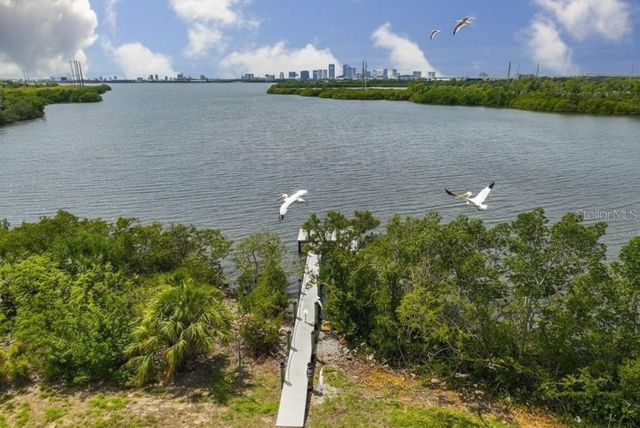 4407 TUSCAN LOON DRIVE, Tampa, FL 33619