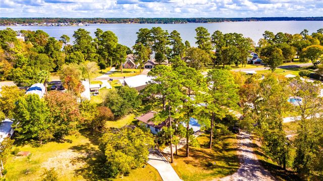 217 Brown Ave, Onalaska, TX 77360