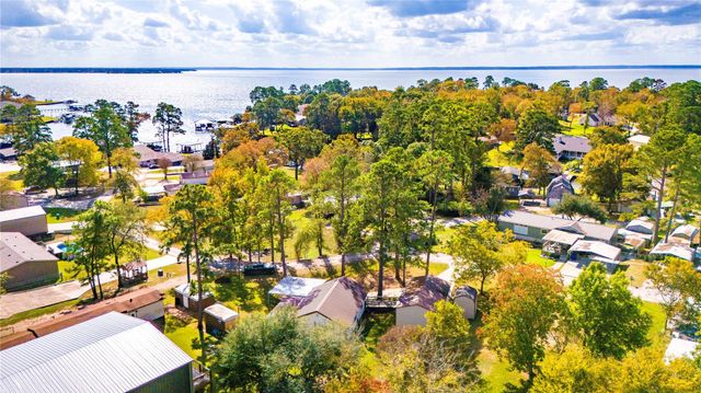 217 Brown Ave, Onalaska, TX 77360