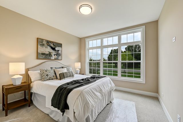 14147 S Sheffield Drive 52, Homer Glen, IL 60491