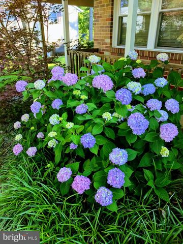 816 DANZA RD, Severn, MD 21144