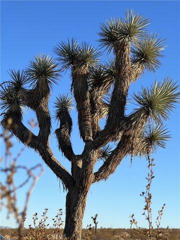 575 N Covelo Avenue, Landers, CA 92285