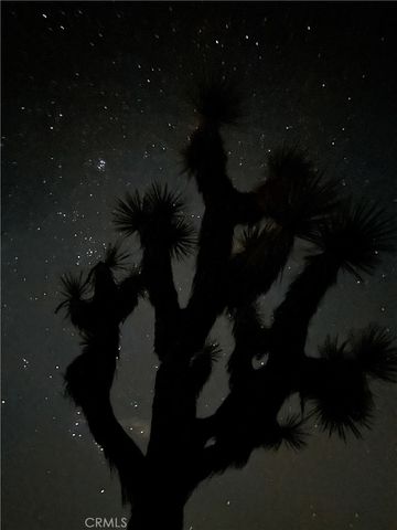 575 N Covelo Avenue, Landers, CA 92285