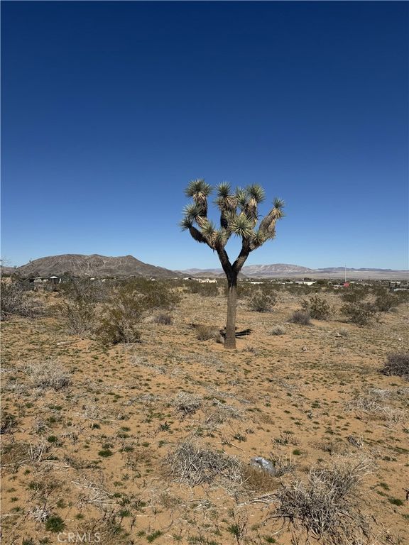 575 N Covelo Avenue, Landers, CA 92285