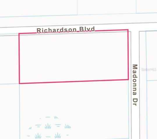 0 RICHARDSON BLVD, LOT 1, Webster, FL 33597