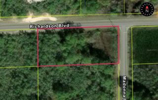0 RICHARDSON BLVD, LOT 1, Webster, FL 33597