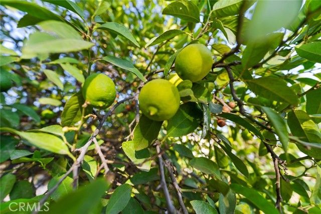 8925 Penny, Riverside, CA 92503