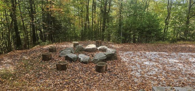 9 Cherry Hill Lane, Sparrowbush, NY 12493