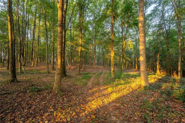 195 Sims Farm Way, Maysville, GA 30558