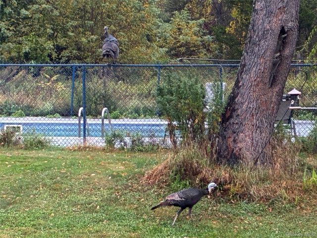 14 Harrigan Road, Hopewell Junction, NY 12533