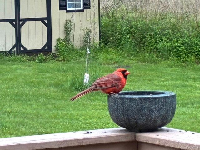 14 Harrigan Road, Hopewell Junction, NY 12533