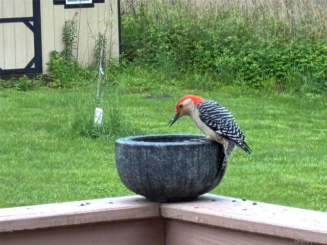 14 Harrigan Road, Hopewell Junction, NY 12533