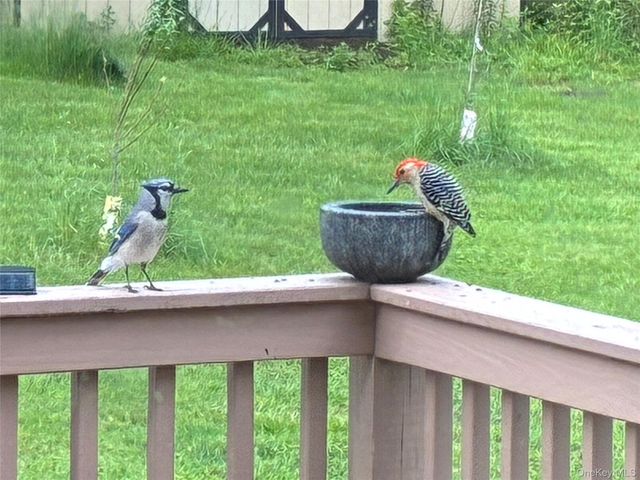 14 Harrigan Road, Hopewell Junction, NY 12533