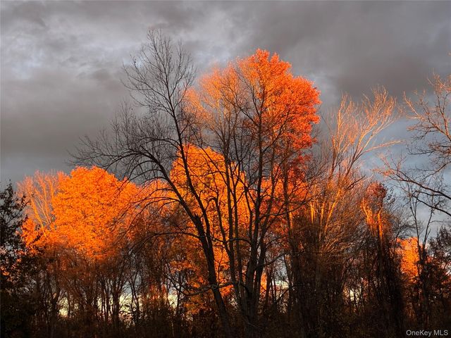 14 Harrigan Road, Hopewell Junction, NY 12533