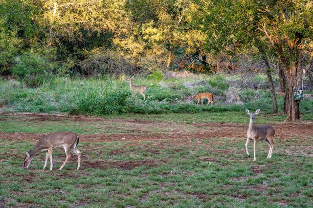 217 E Bay Drive, Bridgeport, TX 76426