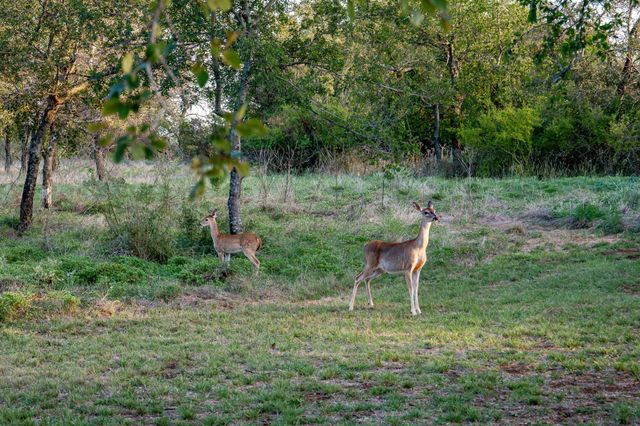 217 E Bay Drive, Bridgeport, TX 76426