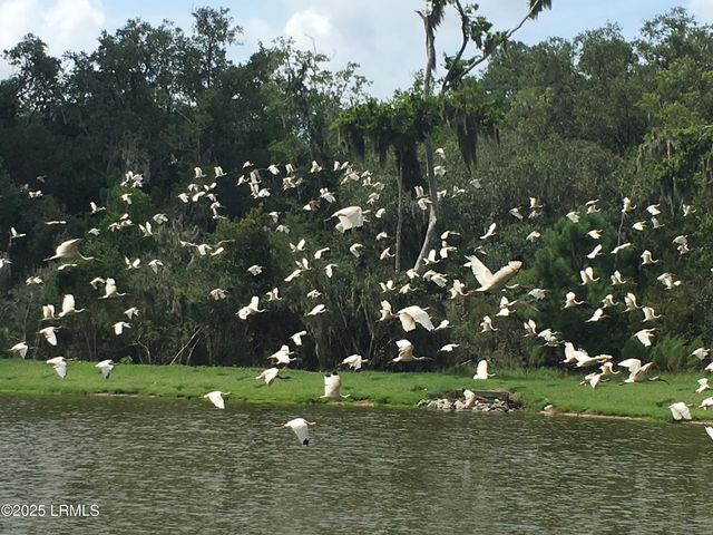 535 Distant Island Drive, Beaufort, SC 29907