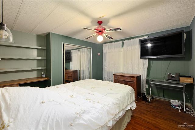 411 Palmetto Palm Street, Alamo, TX 78516