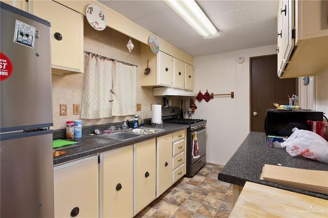 411 Palmetto Palm Street, Alamo, TX 78516