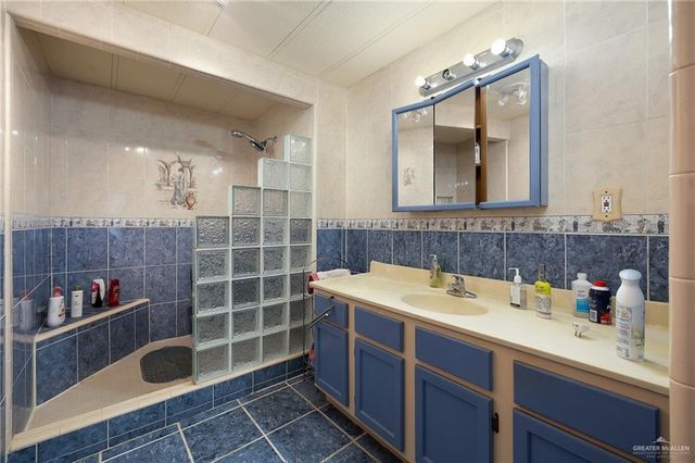 411 Palmetto Palm Street, Alamo, TX 78516