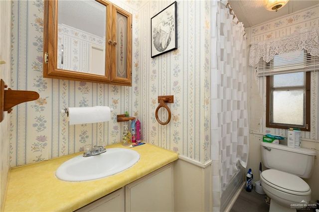 411 Palmetto Palm Street, Alamo, TX 78516