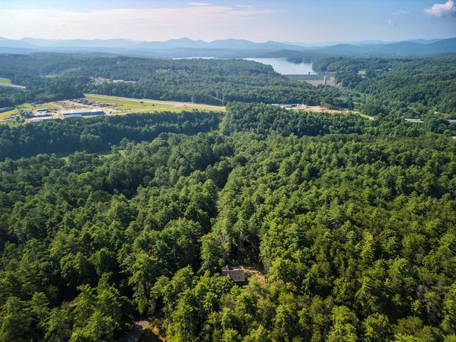 345 Deer Trail, Mineral Bluff, GA 30559
