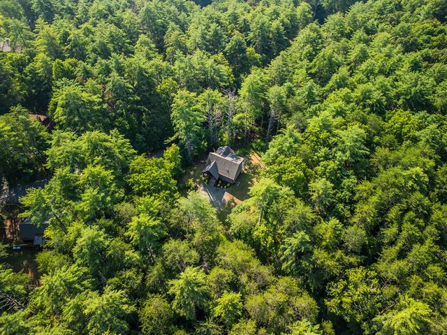 345 Deer Trail, Mineral Bluff, GA 30559