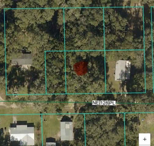 1875 NE 128TH PLACE, Anthony, FL 32617