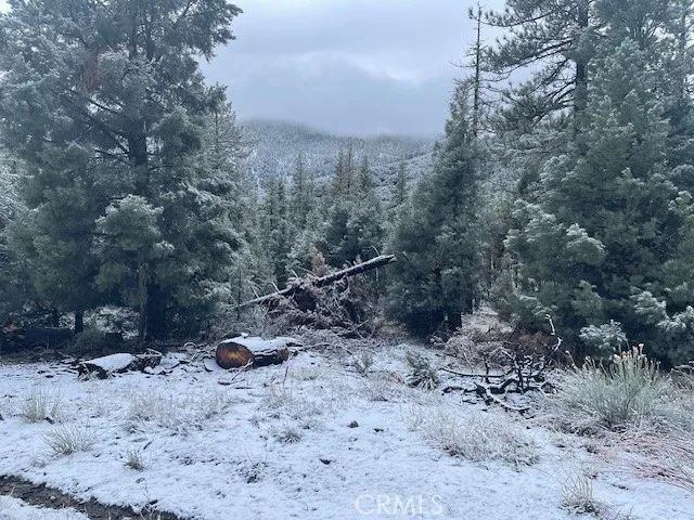 2325 Woodland Drive, Pine Mountain Club, CA 93222