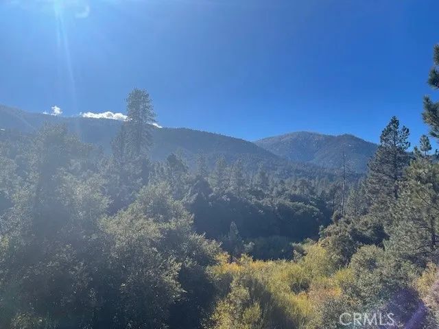 2325 Woodland Drive, Pine Mountain Club, CA 93222