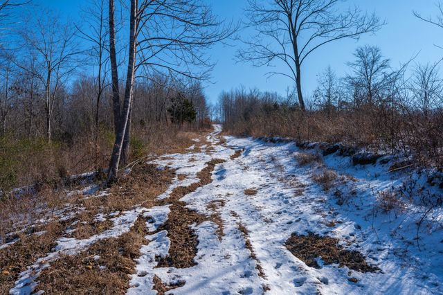 5290 Bedford Creek Rd, Franklin, TN 37064