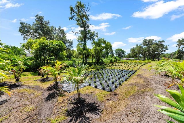 9922 ROCKHILL ROAD, Thonotosassa, FL 33592