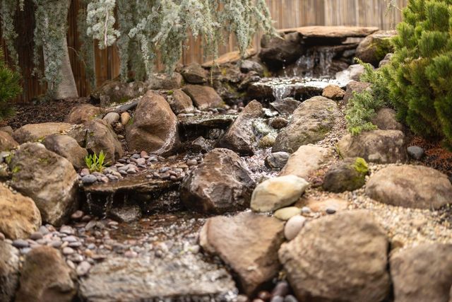 1224 Tiger Lily Ln, Lincoln, CA 95648