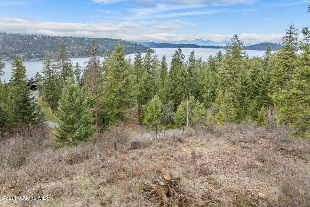 Lot 24 Harrow Road, Harrison, ID 83833 photo 5