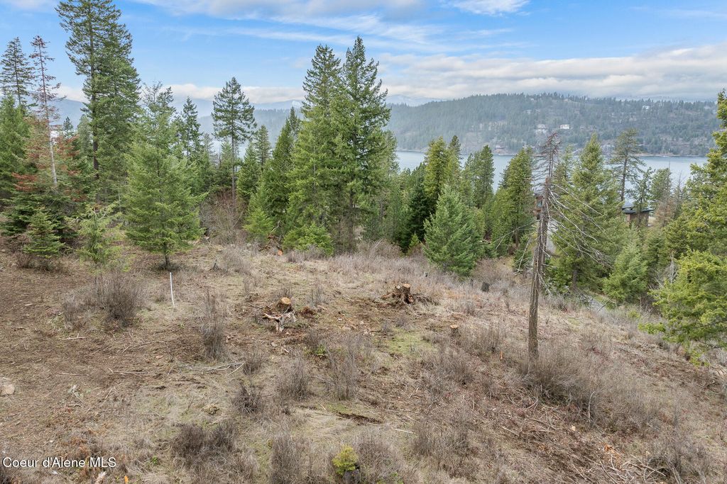 Lot 24 Harrow Road, Harrison, ID 83833 photo 6
