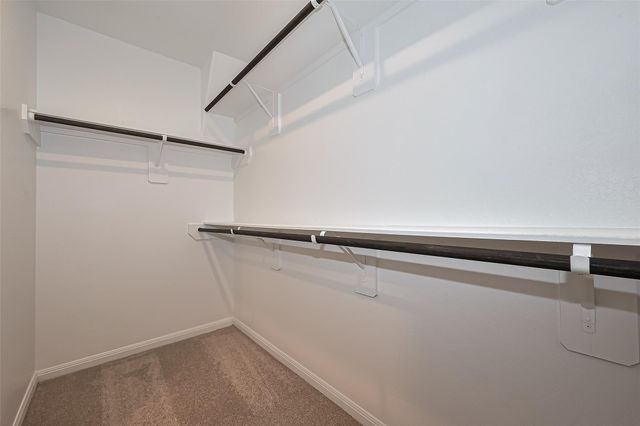 2412 Cave Fish Drive, Conroe, TX 77384