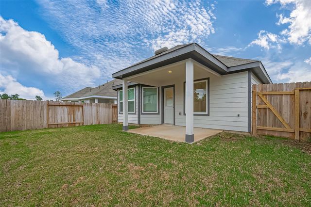 2412 Cave Fish Drive, Conroe, TX 77384