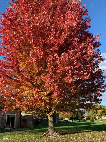 527 Peach Blossom Drive, Fortville, IN 46040