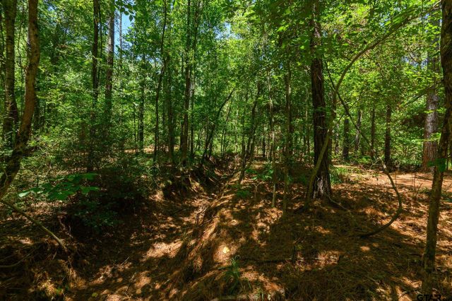 000 C R 434, Lindale, TX 75771