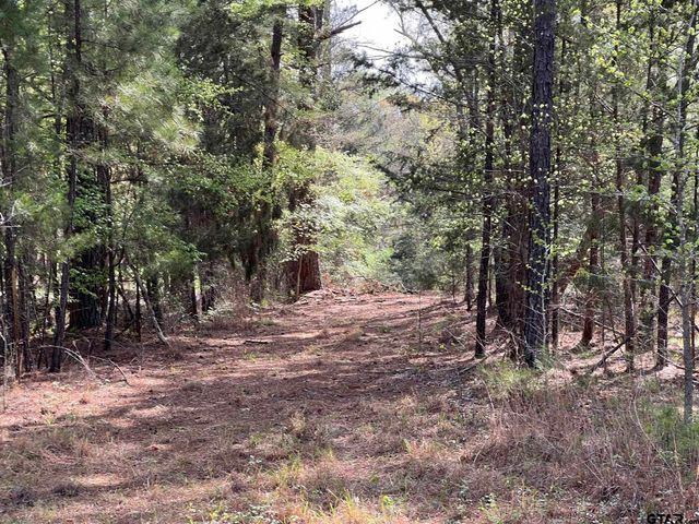 000 C R 434, Lindale, TX 75771
