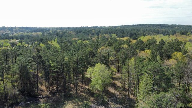 000 C R 434, Lindale, TX 75771